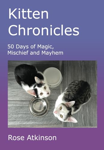 Kitten Chronicles: 50 days of Magic, Mischief and Mayhem