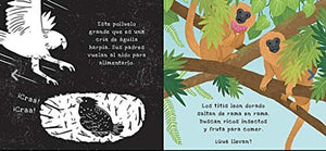 Un Libro Para Iluminar : Secretos de la selva tropical 