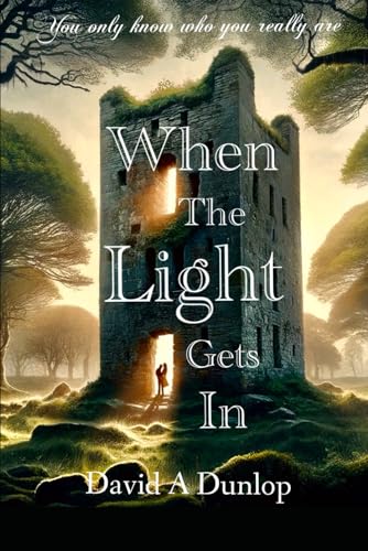 When The Light Gets In