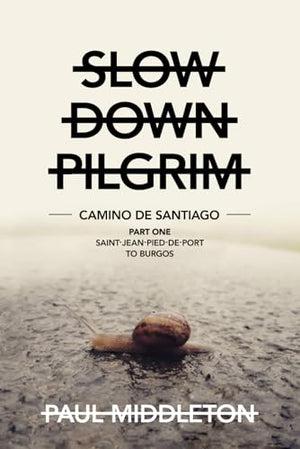 Slow Down Pilgrim: Camino De Santiago - Part One - Saint-Jean-Pied-De-Port to Burgos
